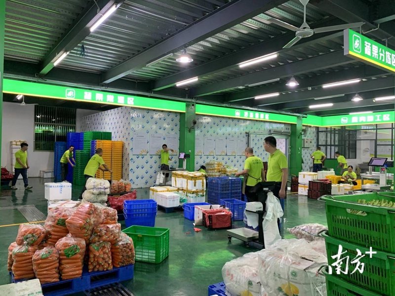 如何确保你的餐饮服务符合最新的食品安全标准？这不仅是对消费者健康的负责，更是企业形象的重要体现。今天就来探讨一下餐饮服务提供者在食品安全管理中必须贯彻执行的一些关键规范。