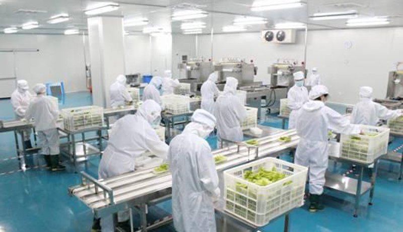 教程指南类文章通常以步骤化教学的方式展开，帮助读者理解和掌握某个主题或技能。餐饮管理公司如何高效运营？今天我们就来一步步揭开这个谜题。